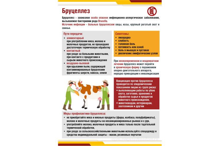 Бруцеллез Бруцеллез.